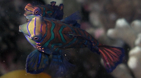 20140430142941.jpg 20140430142941.jpg