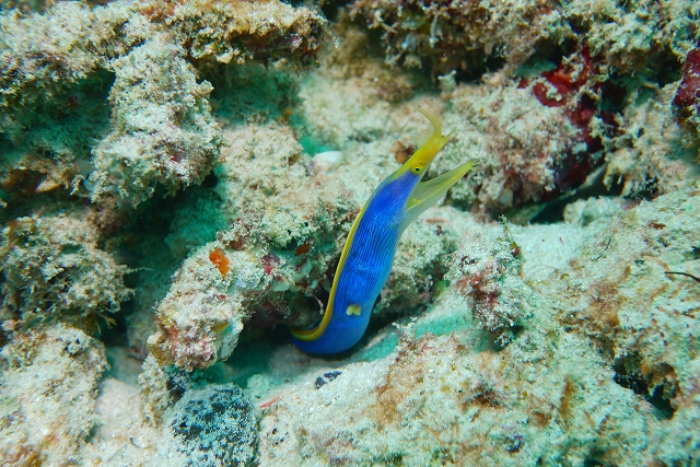 20140702004810.jpg 20140702004810.jpg