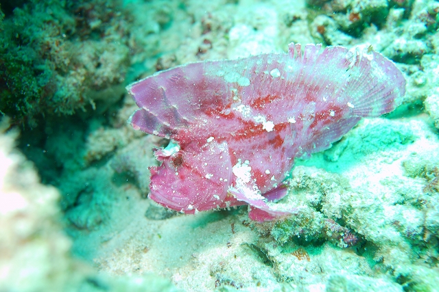 20140702004811.jpg 20140702004811.jpg