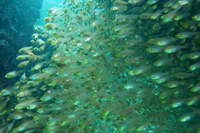 20140702005312.jpg 20140702005312.jpg