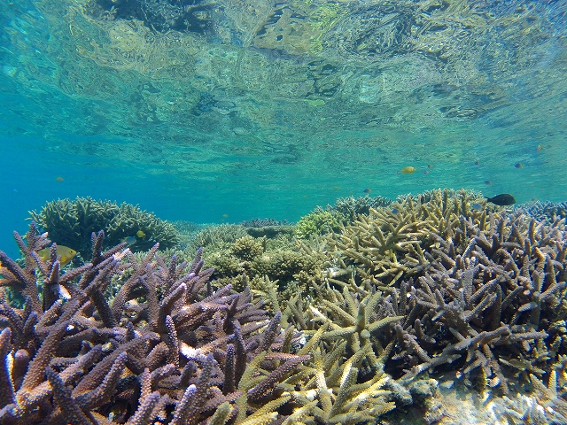 20140702010228.jpg 20140702010228.jpg