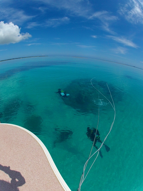 20140702010229.jpg 20140702010229.jpg