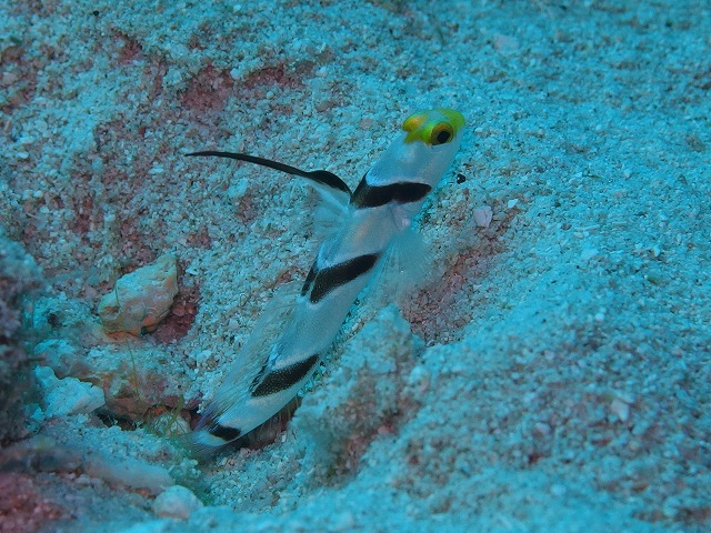 20140702174118.jpg 20140702174118.jpg