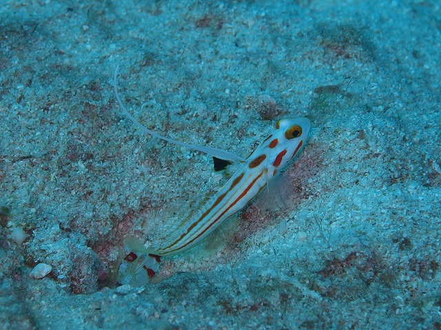 20140702174221.jpg 20140702174221.jpg