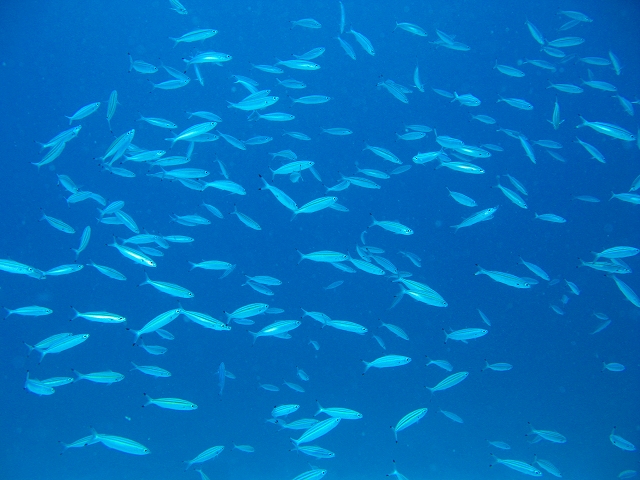 20140703184302.jpg 20140703184302.jpg