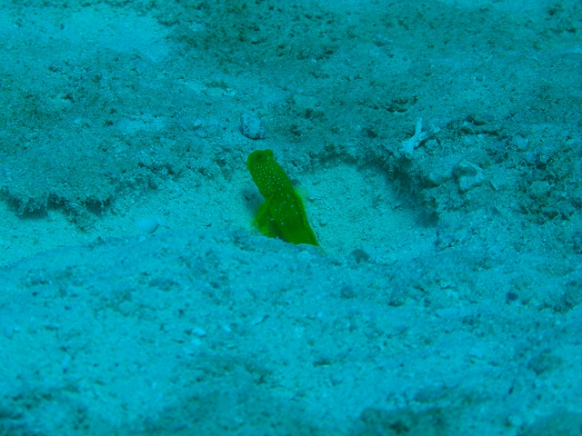 20140703184303.jpg 20140703184303.jpg