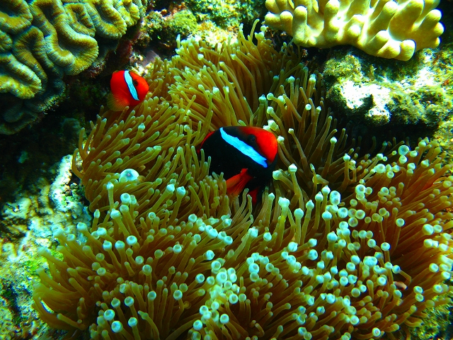 20140703184305.jpg 20140703184305.jpg