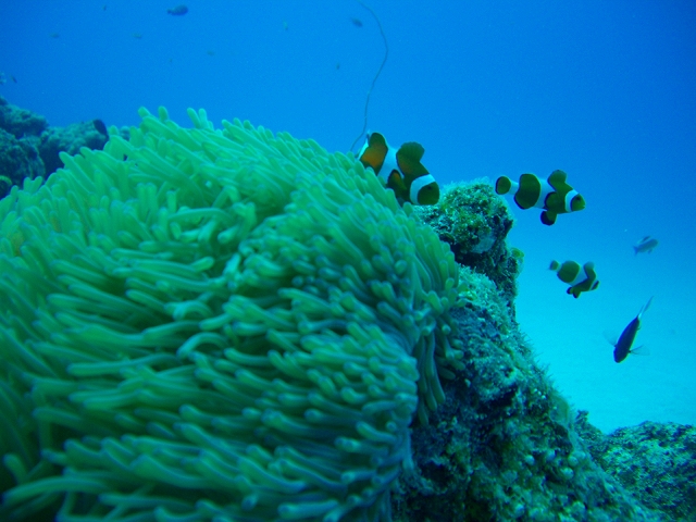 20140704190355.jpg 20140704190355.jpg