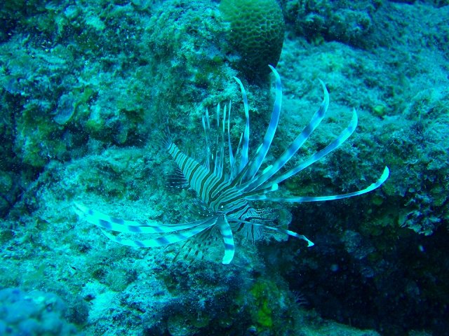 20140704190425.jpg 20140704190425.jpg