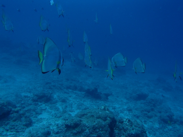 20140707164004.jpg 20140707164004.jpg