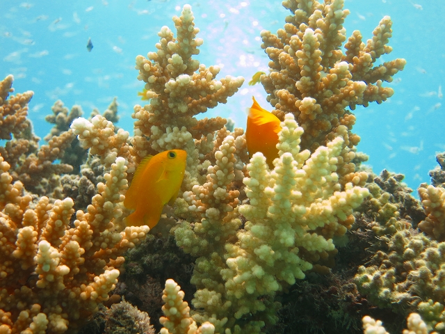 20140711184552.jpg 20140711184552.jpg