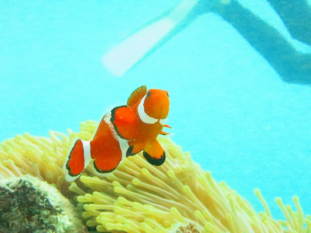 20140711184553.jpg 20140711184553.jpg