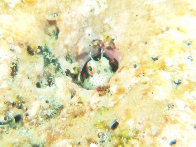 20140714182311.jpg 20140714182311.jpg