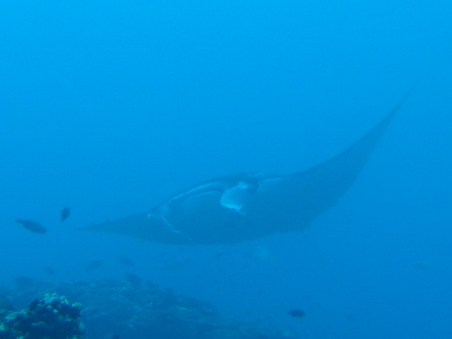 20140714182606.jpg 20140714182606.jpg