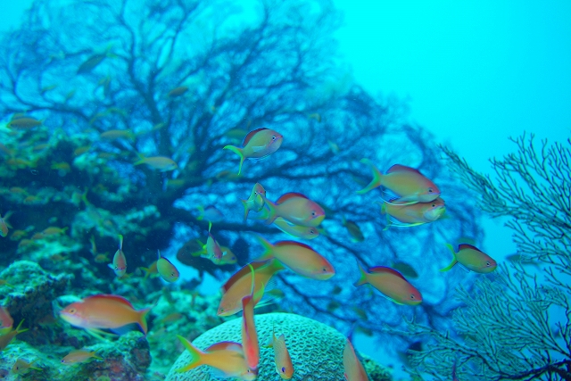 20140715183031.jpg 20140715183031.jpg