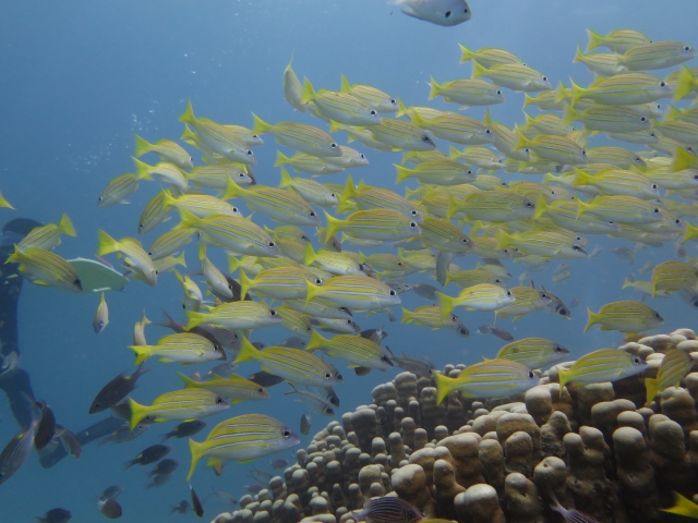 20140716181144.jpg 20140716181144.jpg