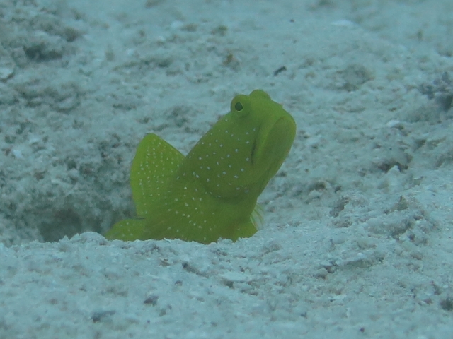 20140716181227.jpg 20140716181227.jpg