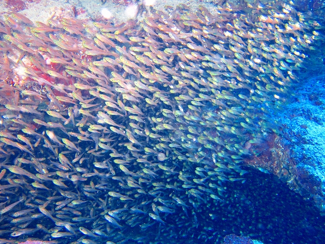 20140716181524.jpg 20140716181524.jpg