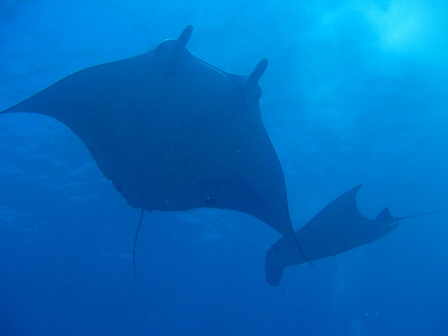 20140717183237.jpg 20140717183237.jpg