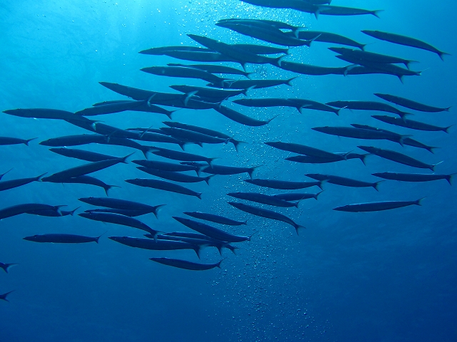 20140717183422.jpg 20140717183422.jpg