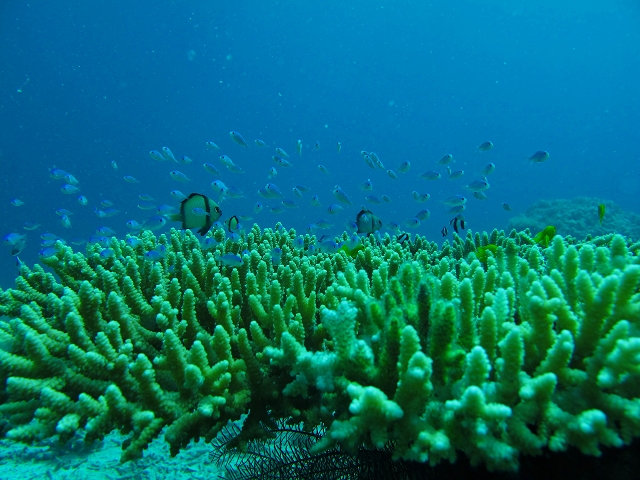 20140718210452.jpg 20140718210452.jpg