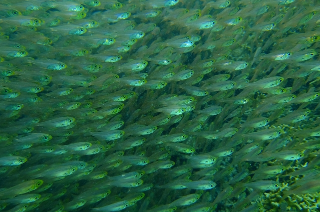 20140718210559.jpg 20140718210559.jpg