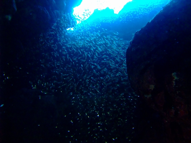 20140718210709.jpg 20140718210709.jpg