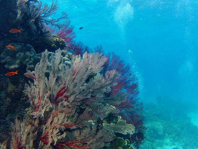 20140719185054.jpg 20140719185054.jpg