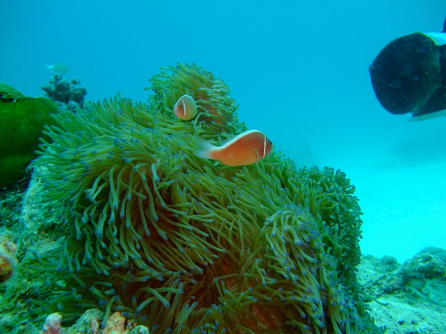 20140719185713.jpg 20140719185713.jpg