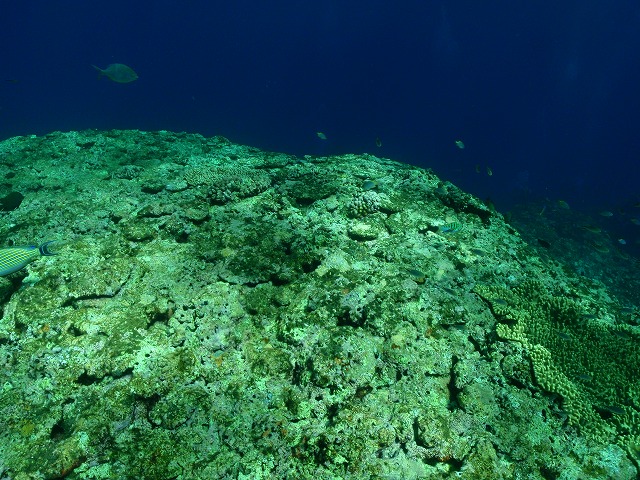 20140720194122.jpg 20140720194122.jpg