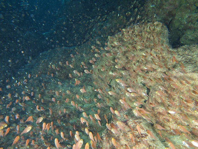 20140720194326.jpg 20140720194326.jpg