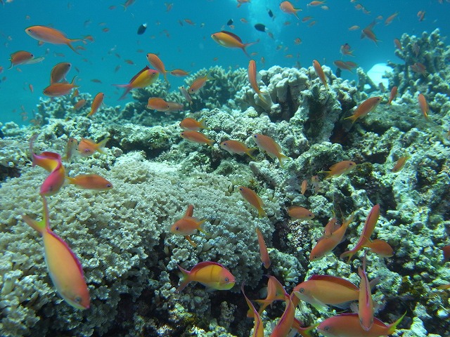 20140720194457.jpg 20140720194457.jpg