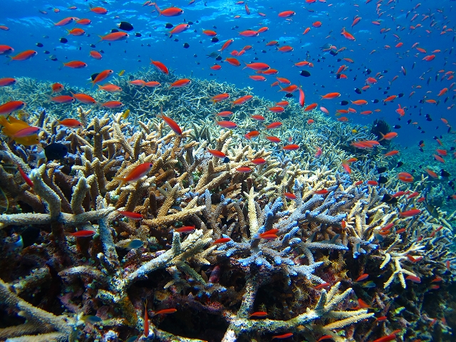 20140810194255.jpg 20140810194255.jpg