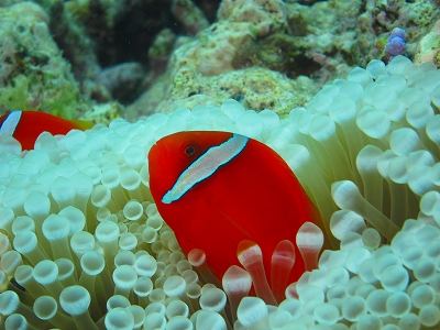 20140811210056.jpg 20140811210056.jpg