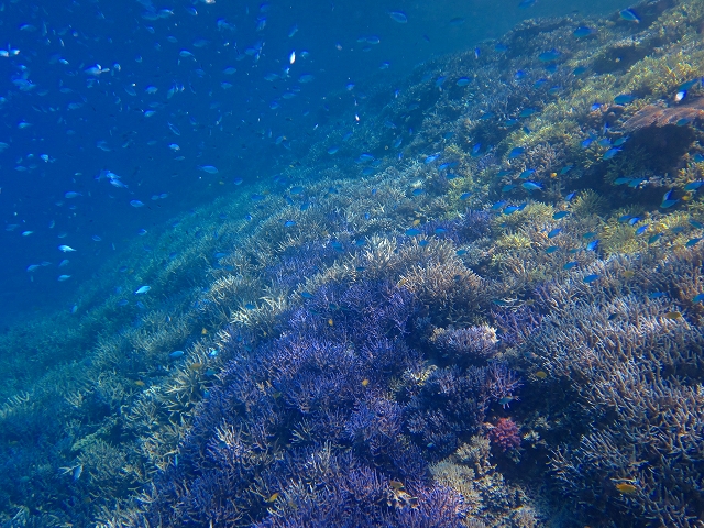 20140813174800.jpg 20140813174800.jpg