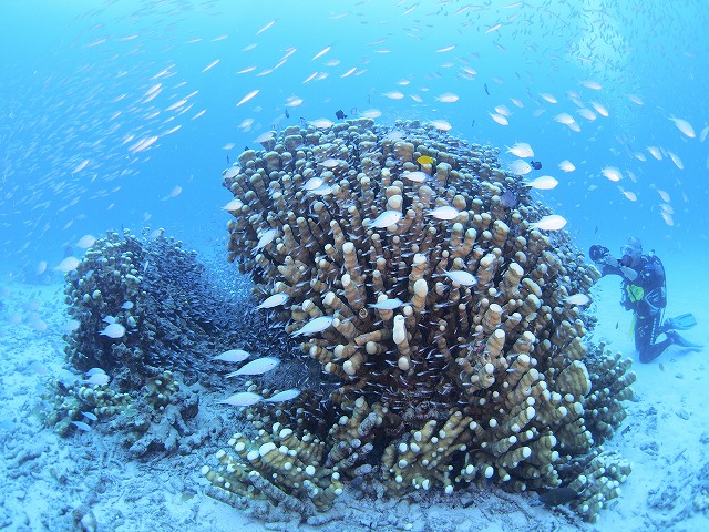 20140816183547.jpg 20140816183547.jpg