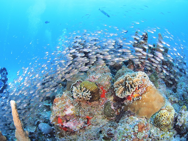 20140816183647.jpg 20140816183647.jpg