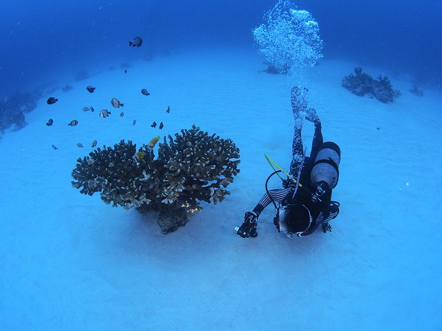 20140816183739.jpg 20140816183739.jpg