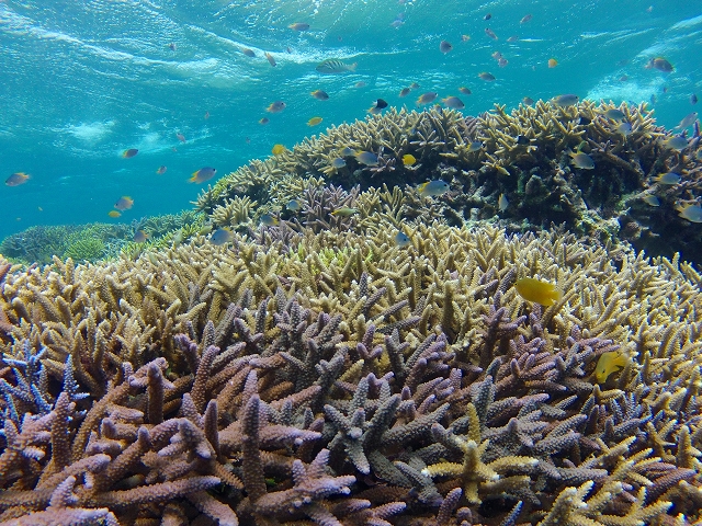 20140819185023.jpg 20140819185023.jpg