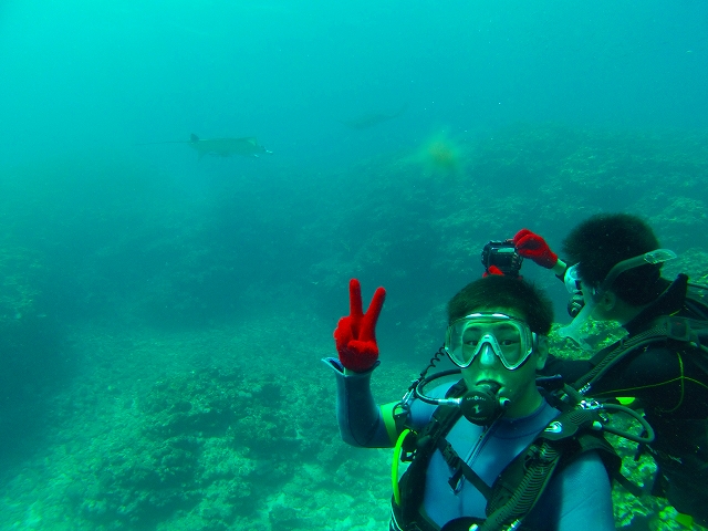 20140905175211.jpg 20140905175211.jpg