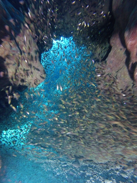 20140905175212.jpg 20140905175212.jpg