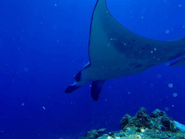 20140905175213.jpg 20140905175213.jpg