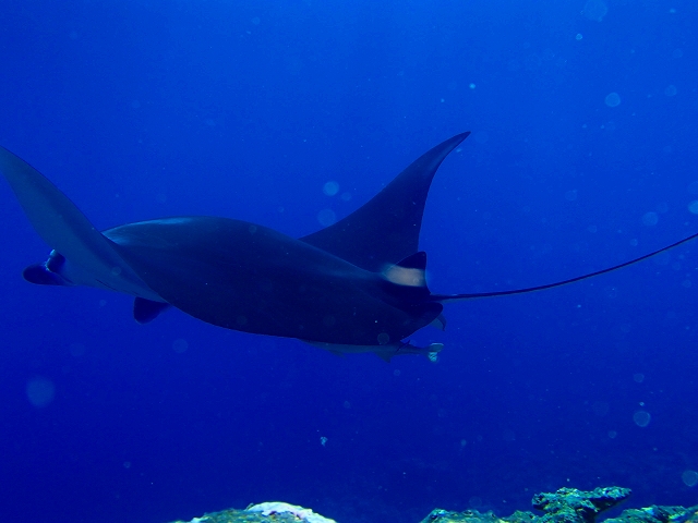 20140905175214.jpg 20140905175214.jpg