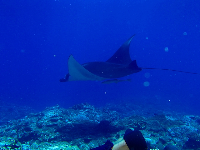 20140905175215.jpg 20140905175215.jpg