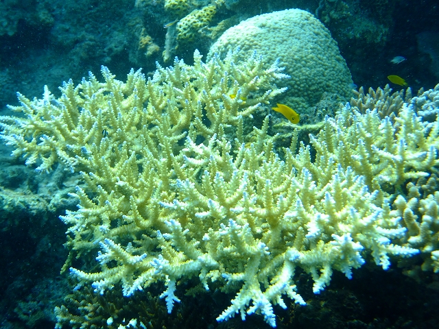 20140909174024.jpg 20140909174024.jpg