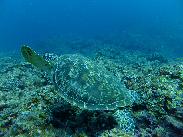 20140909174047.jpg 20140909174047.jpg