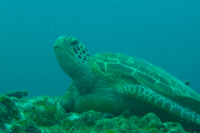 20140915180959.jpg 20140915180959.jpg