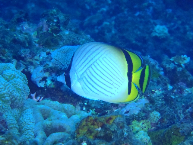 20141006162743.jpg 20141006162743.jpg