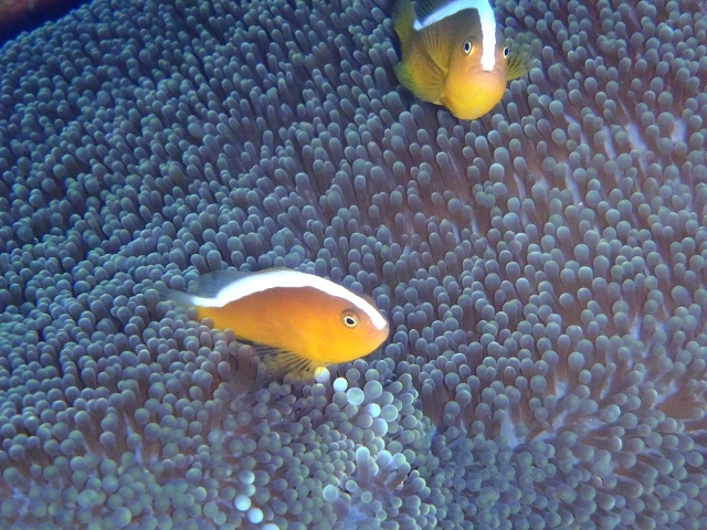 20141006162800.jpg 20141006162800.jpg