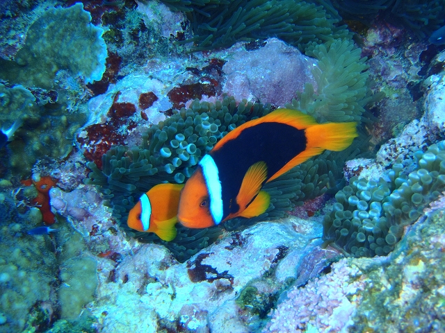 20141006162821.jpg 20141006162821.jpg